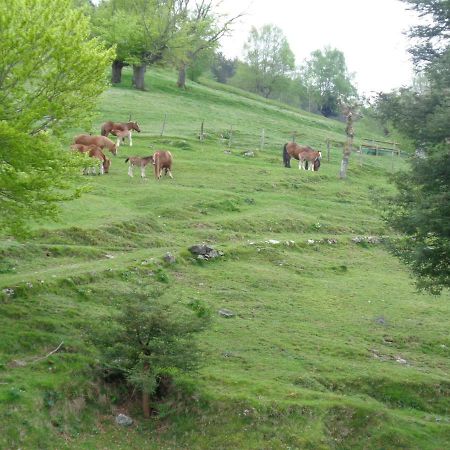 Casa Rural Alustiza Guest House Villabona Екстериор снимка
