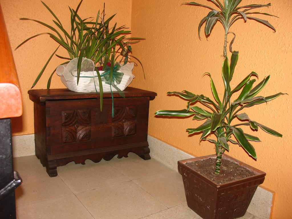 Casa Rural Alustiza Guest House Villabona Екстериор снимка