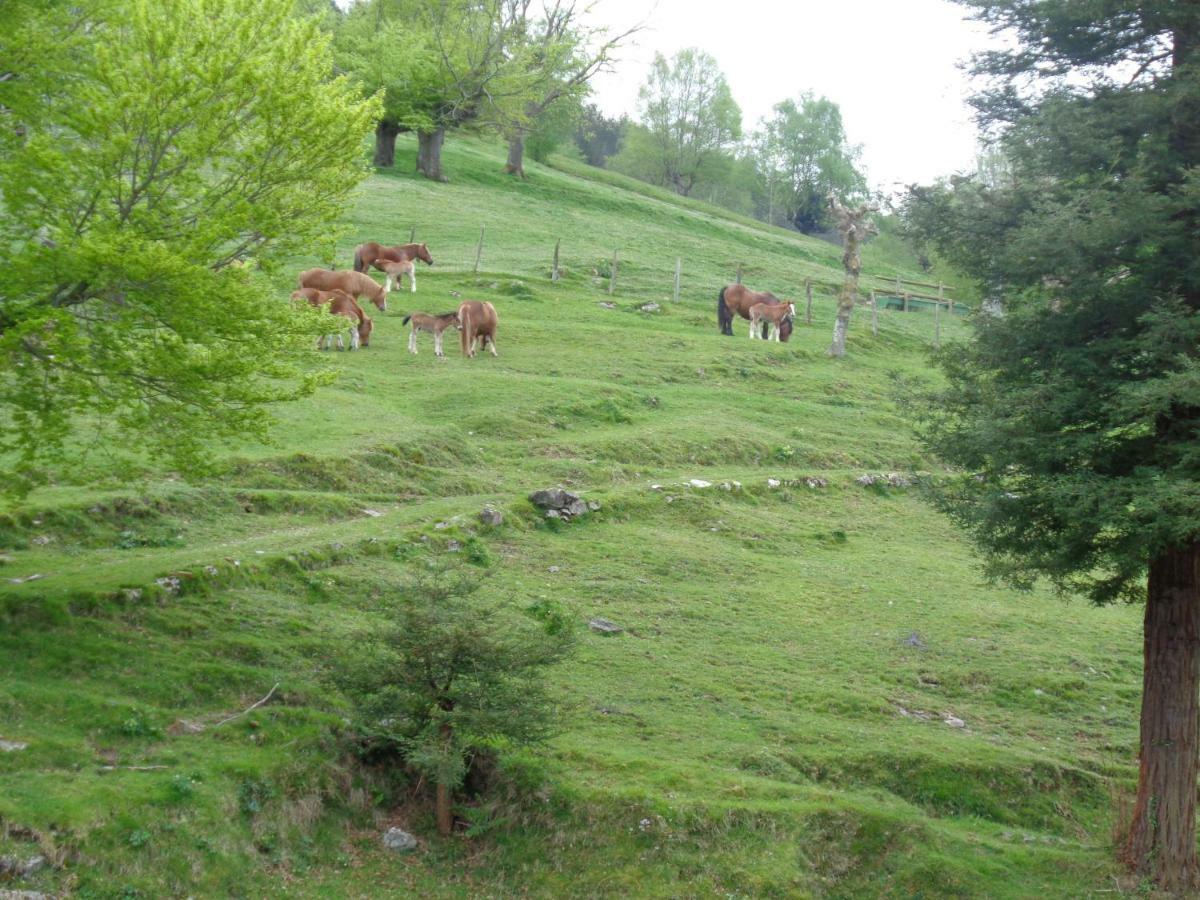 Casa Rural Alustiza Guest House Villabona Екстериор снимка